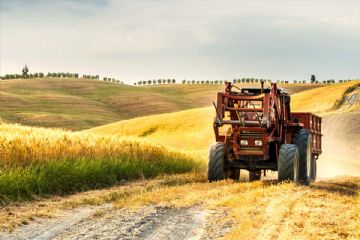 Incontri di presentazione del Complemento di sviluppo rurale del piano strategico della PAC 23/27