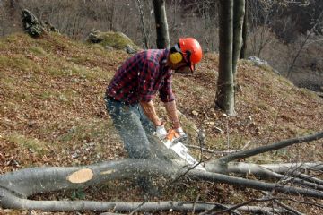 Avviso ai proprietari di terreni privati